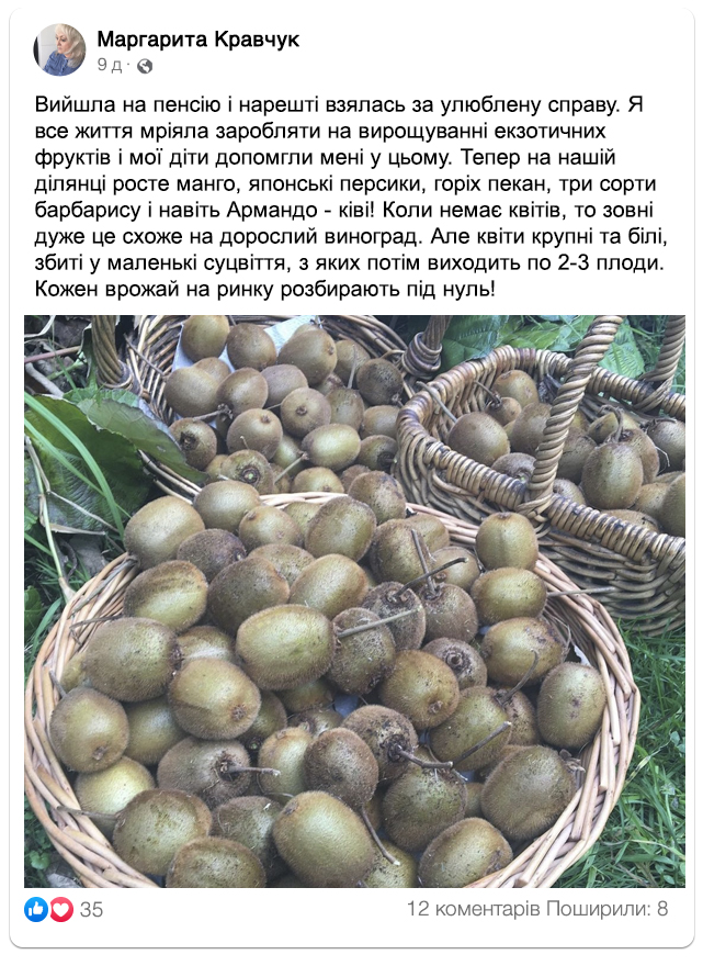 Заголовок