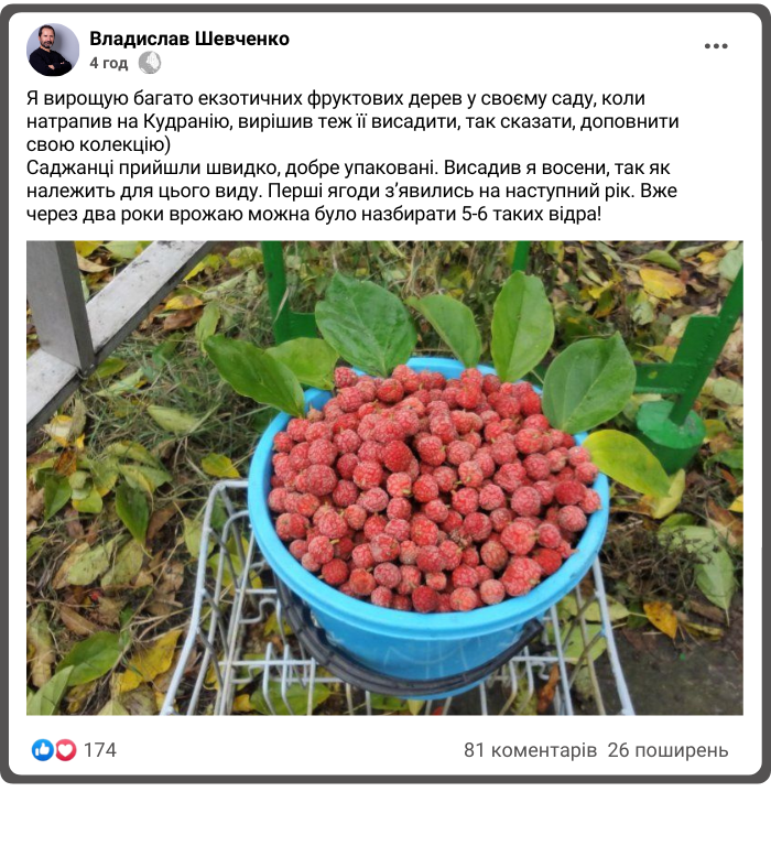 Заголовок