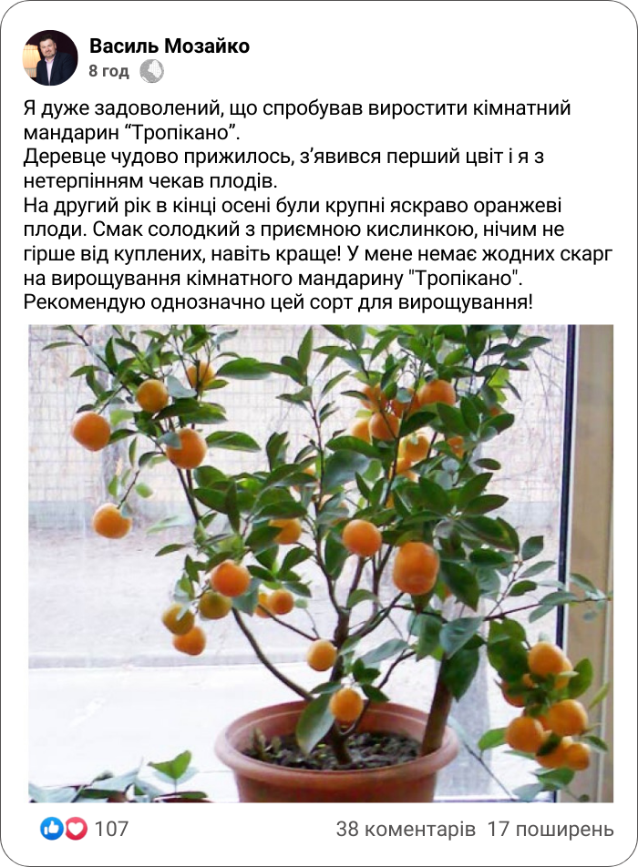 Заголовок